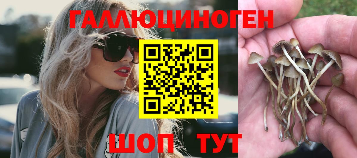 Псилоцибиновые грибы прущие грибы  Вход с VPN  Галлюциногенные грибы Psilocybine cubensis  Костомукша 